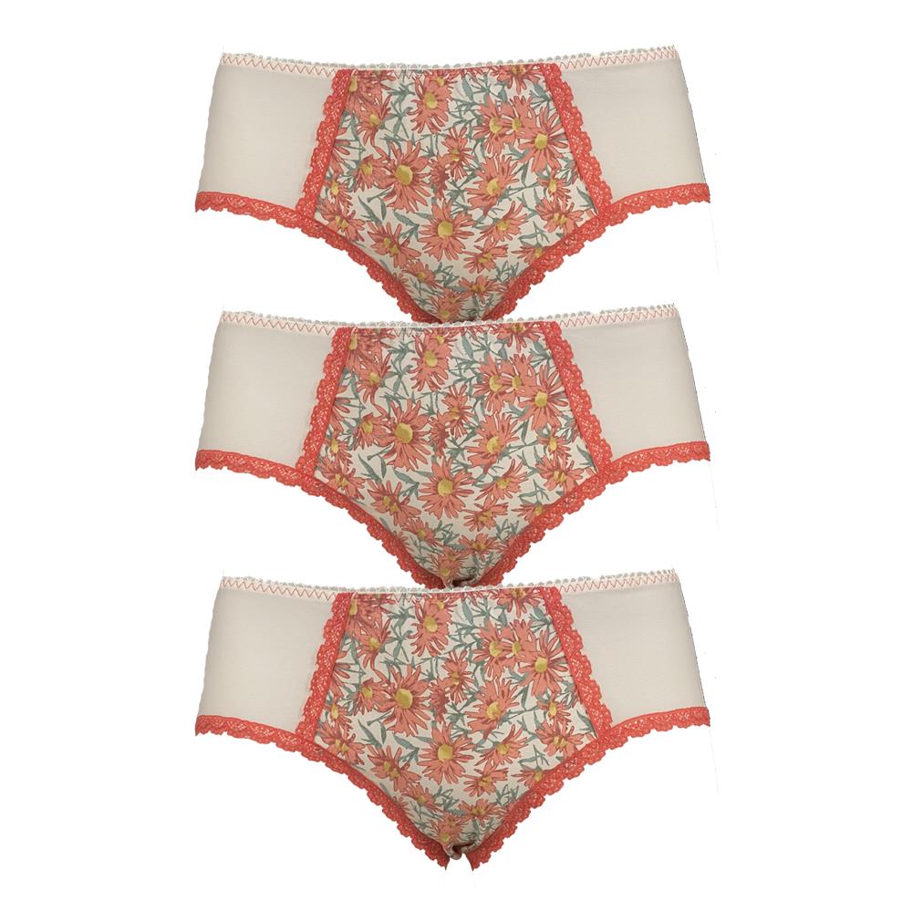 Ex Chainstore 3 Pairs Floral Brief Knickers Mesh Cotton Gusset Silky Fabric